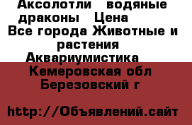 Аксолотли / водяные драконы › Цена ­ 500 - Все города Животные и растения » Аквариумистика   . Кемеровская обл.,Березовский г.